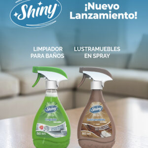Kit Limpieza Shiny